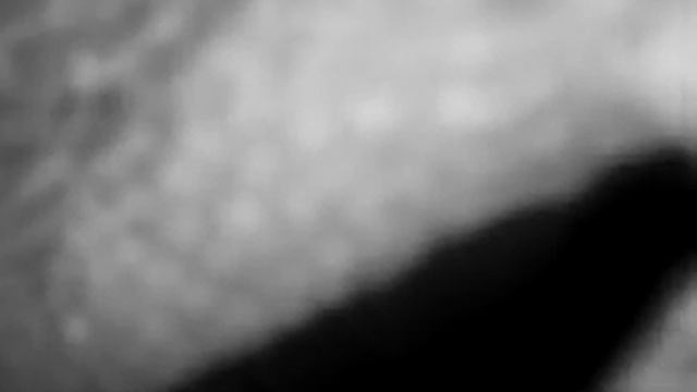 Scary dino Revenge смотреть онлайн