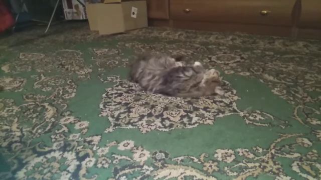 Соник в детстве. смотреть онлайн