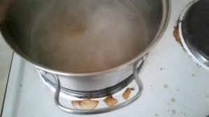 Как сварить кашу для волнистых попугаев