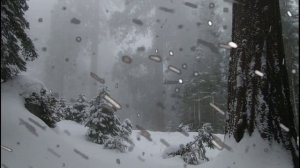 Видео 1 час Вьюга, метель, вой волков для релаксации и медитации.