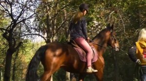 Падение лошади с наездницей