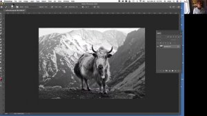 01 - Using Photoshop "blending modes" / coloring Greyscale-mode TIFFs in InDesign