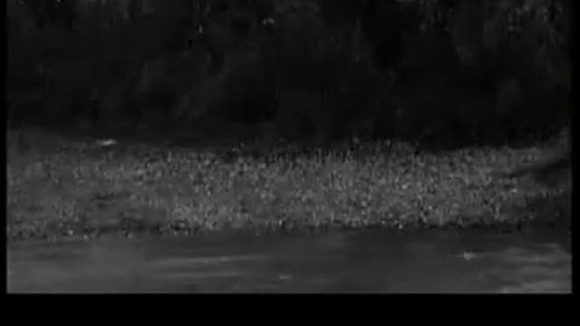 Эх, если бы я был лошадью...Но я корова.. смотреть онлайн