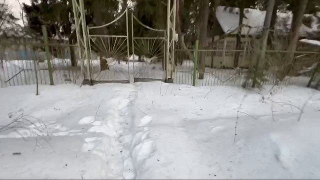 заброшенный лагерь чайка..