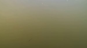 Игра приманки бокоплав 15гр