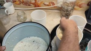 Делаем сыр качотта своими руками