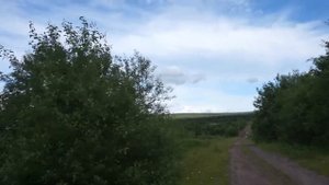 Поселок Талый (Кизел). Александровский район. Пермский край. Июль 2019.