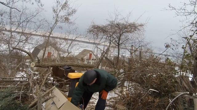 ИЗМЕЛЬЧАЕМ ВЕТКИ ДЛЯ ТОПКИ И МУЛЬЧИ С ПОМОЩЬЮ ВЕТКОРЕЗА. смотреть онлайн