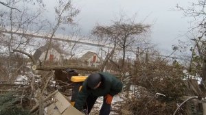 ИЗМЕЛЬЧАЕМ ВЕТКИ ДЛЯ ТОПКИ И МУЛЬЧИ С ПОМОЩЬЮ ВЕТКОРЕЗА.