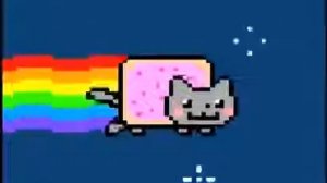 Нян кэт. Самый милый кот интернета!