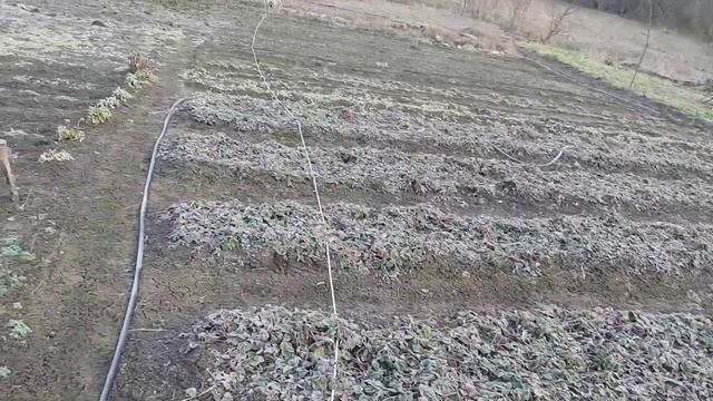 Утро 1 февраля 2020... смотреть онлайн