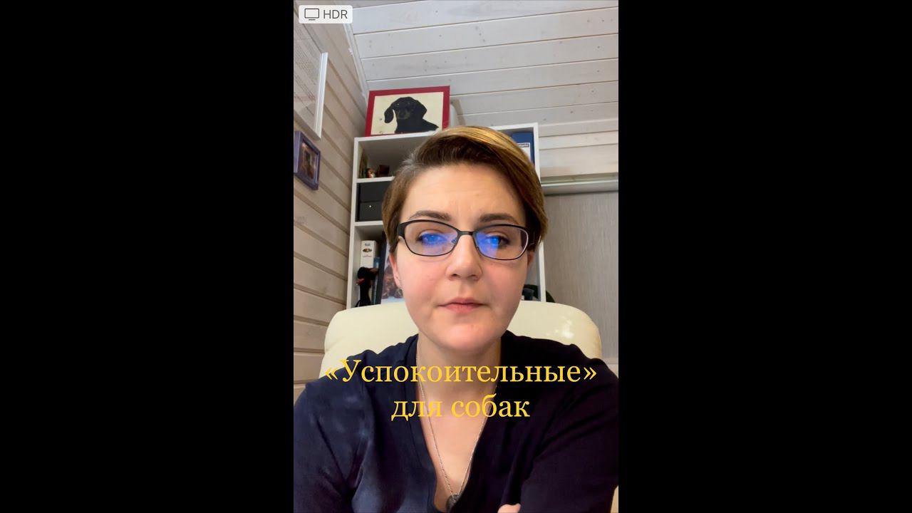 "Успокоительные" для собак смотреть онлайн