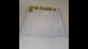 Приготовил вяленые колбаски и засушил фрукты с помощью сушилки Kitfort KT-1909