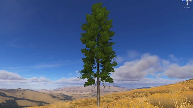 Our Douglas-firs are Tree-mendous смотреть онлайн