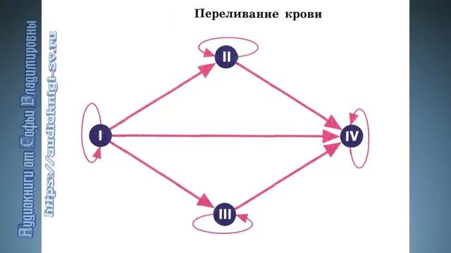 Кровь схема переливания