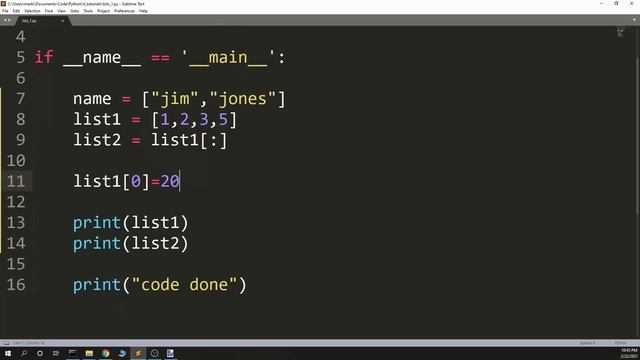 Shallow Copy In Python : DON'T MAKE THIS MISTAKE!