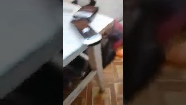 Котенок сосет у кота смотреть онлайн