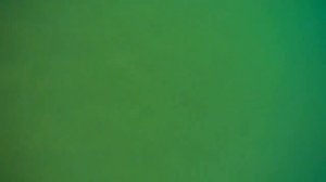 Дайвинг на Урале 29.06-01.07.2018