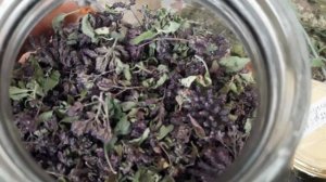 Масло душицы (орегано). Мацерат с поместья.