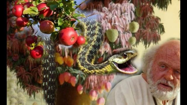 Венедикт Ерофеев "Москва-Петушки". Глава 34. Усад - 105км. Читает Дмитрий Грызлов смотреть онлайн