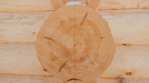 Дмитрий Теплых: как строятся брутальные дома от Дровосека