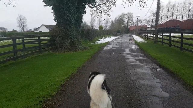 Ирландия зимой