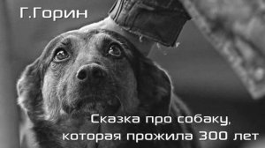 Г.Горин "Сказка про собаку, которая прожила 300 лет"