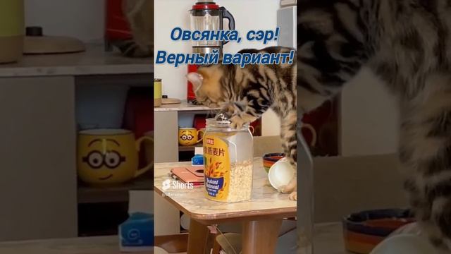 Что съесть, чтобы похудеть?