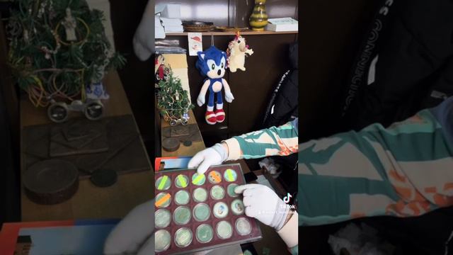 10 января 2024 г. смотреть онлайн