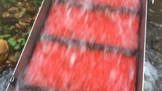 Мини драга " Дипсис/Deepsees"- 235 х 50/4" архив испытаний смотреть онлайн