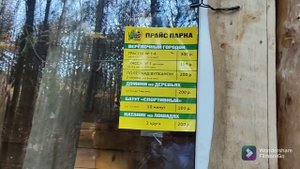 Парк Янтарного периода в Светлогорске Откуда берется янтарь?