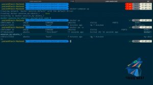 Docker Volumes and Docker Compose (part 1)