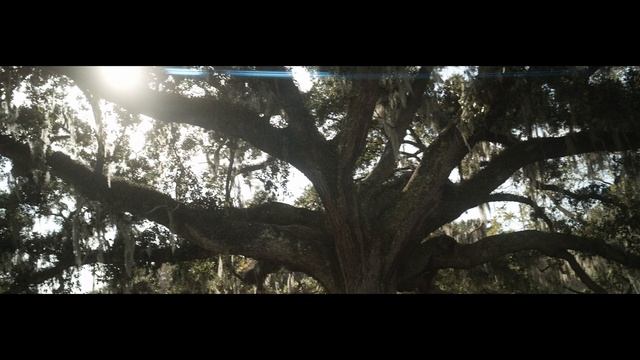 Life In Anamorphic - Sirui 50mm Full Frame 1.6x Anamorphic, Sigma FP смотреть онлайн