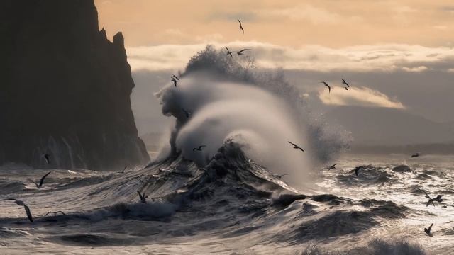 На берегу. смотреть онлайн