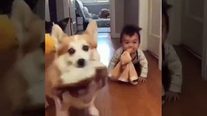 Маугли. Продолжение.