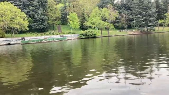 Как использовать свои безграничные способности и получать энергию отовсюду? смотреть онлайн