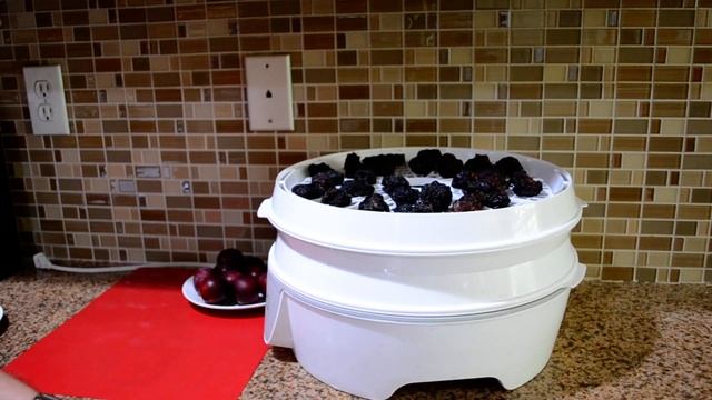 КАК СУШИТЬ СЛИВЫ В ЭЛЕКТРОСУШИЛКЕ. смотреть онлайн