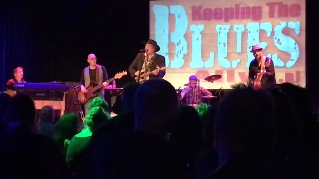 Insane Cigar Box Guitar Steve Arvey Performing In Netherlands 2019 смотреть онлайн