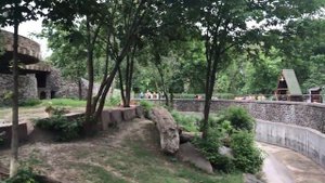 Настя в зоопарке / Киевский зоопарк / Настя и животные / Nastya in the zoo / Kyiv zoo / горилла Тон