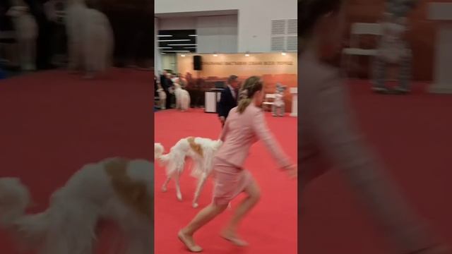 Цыганочка с тремя выходами. смотреть онлайн