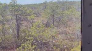 самая короткая дорога... это когда прямо