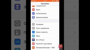 Как включить мигание фонарика при звонке на iPhone 5s