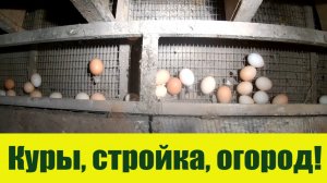 Стройка, куры, индюки и надеюсь "Урожайный огород"! СВЕЖИЕ деревенские НОВОСТИ!
