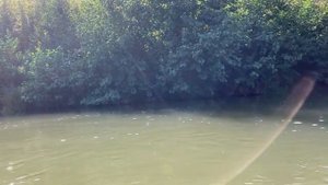 Ловля нахлыстом. Сезон 2021