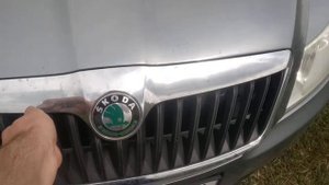 Газовый упор капота Шкода Октавия А5