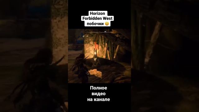 Horizon Forbidden West побочные квесты