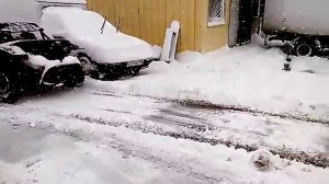 Багги с отвалом