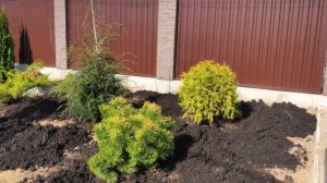 Обустройство придомовой территории