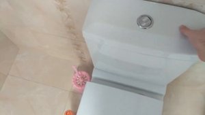 ОБЪЯСНЯЮ УНИТАЗУ ПОЧЕМУ В НЕГО КАКАЮТ