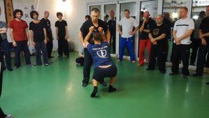 Техника Нажатий Ударов по Болевым Точкам Шокирующие Воздействия за Мышцы Кожу